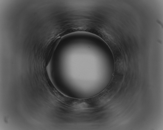 X0000092270747200709141201