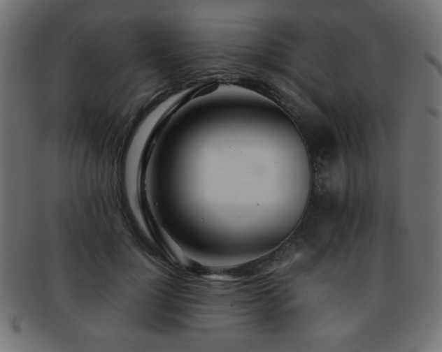 X0000092270748200709141201