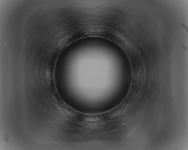 X0000092270749200709141201