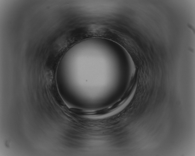 X0000092270752200709141201