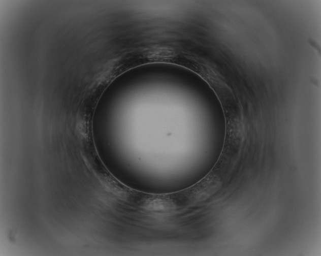 X0000092270755200709141201