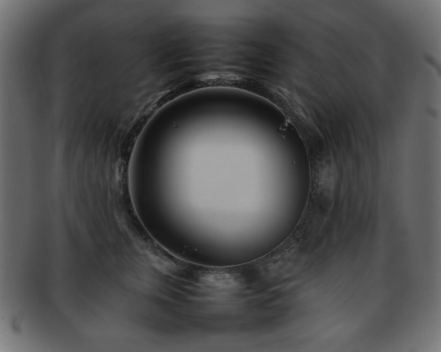 X0000092270759200709141201
