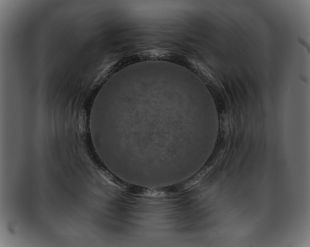 X0000092270760200709141201