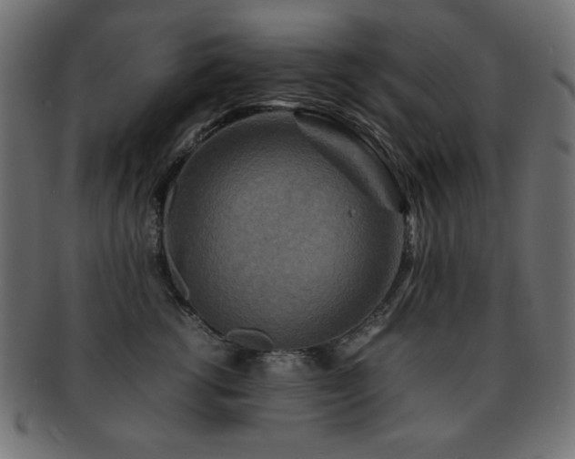 X0000092270762200709141201