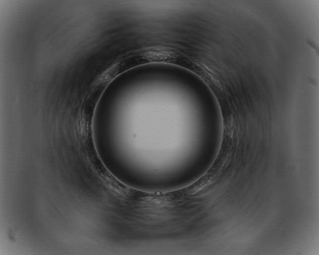 X0000092270763200709141201