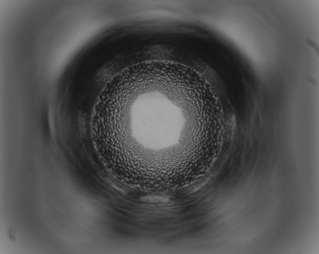 X0000092270765200709141201