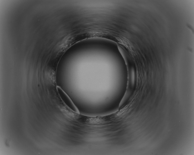 X0000092270766200709141201