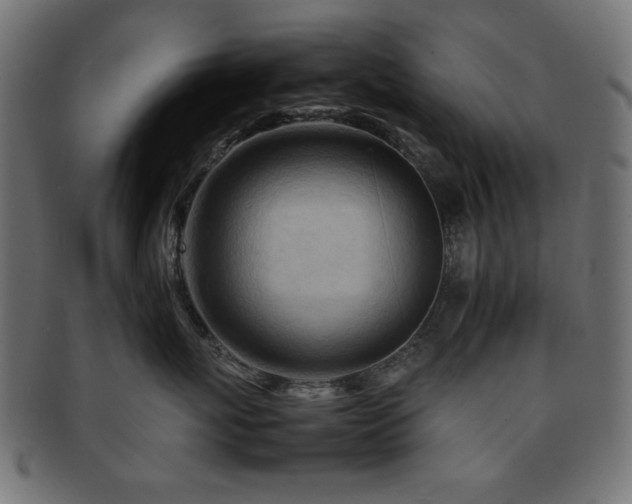 X0000092270767200709141201