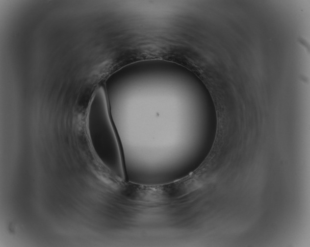 X0000092270768200709141201