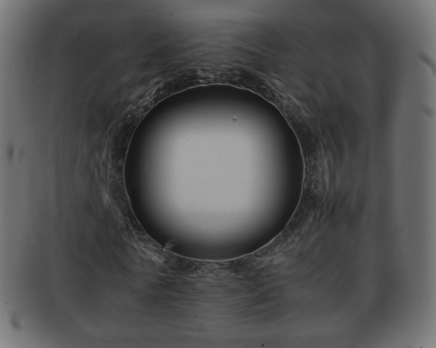 X0000092270770200709141200