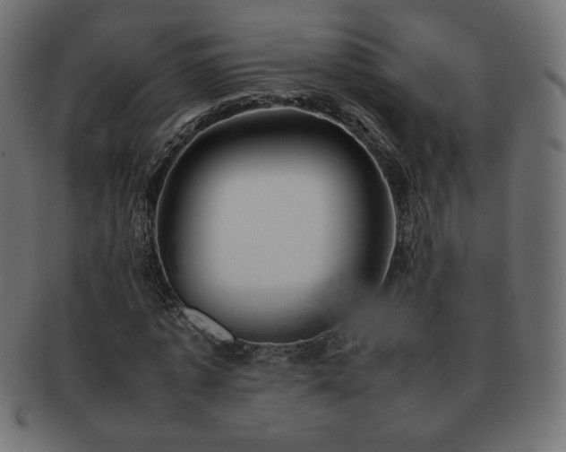 X0000092270773200709141200