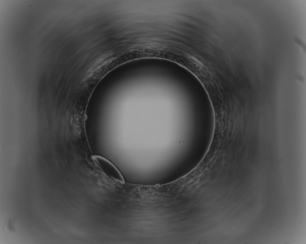 X0000092270774200709141200