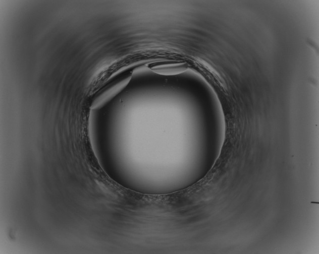 X0000092270775200709141200