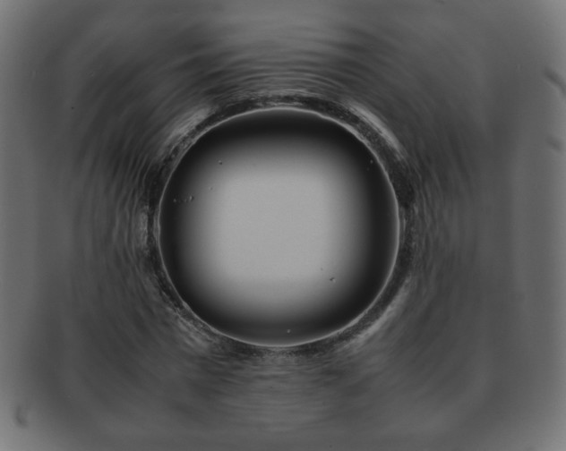 X0000092270777200709141200