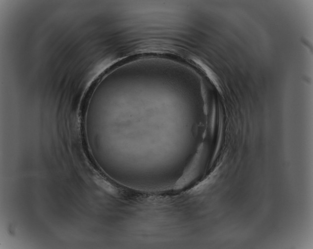 X0000092270779200709141200