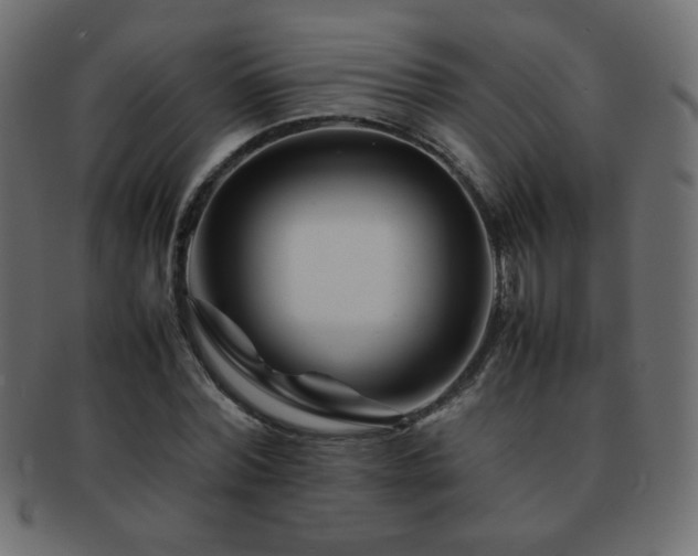 X0000092270780200709141200