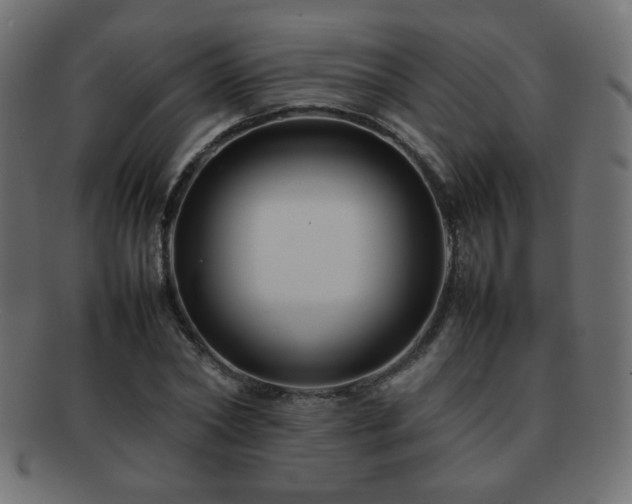X0000092270782200709141200