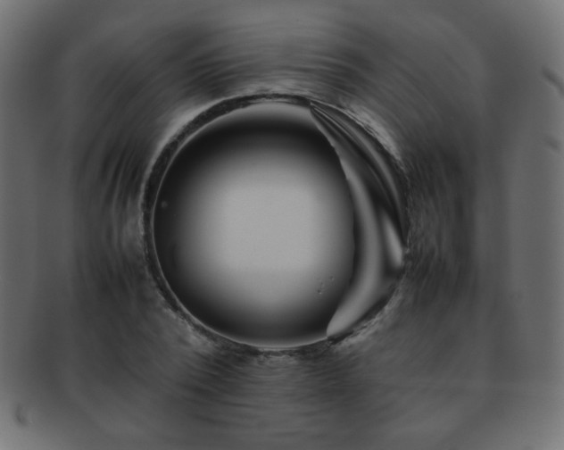 X0000092270784200709141200