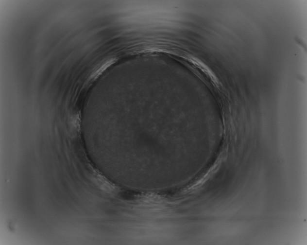 X0000092270785200709141200