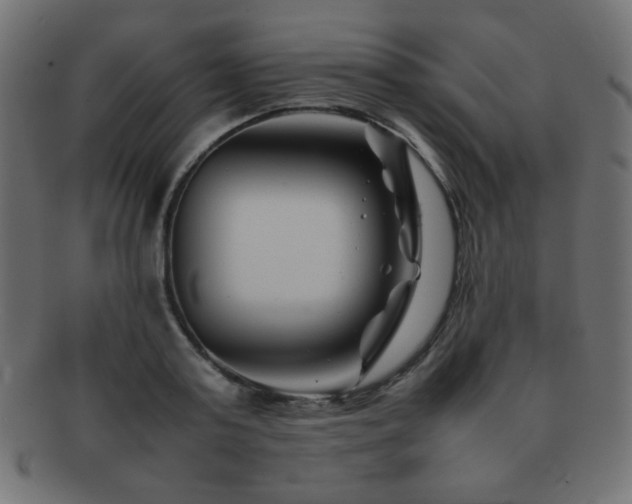 X0000092270795200709141200