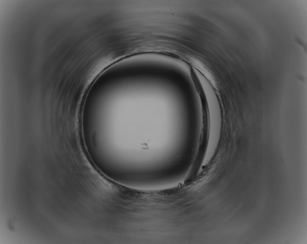 X0000092270803200709141200