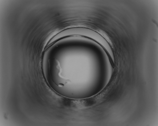 X0000092270805200709141200