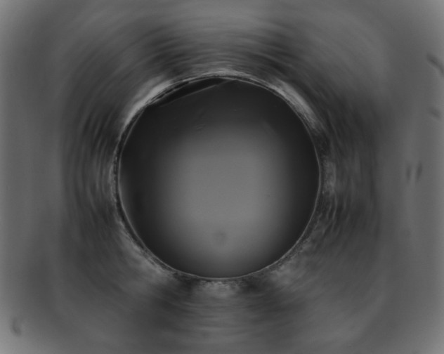 X0000092270806200709141200