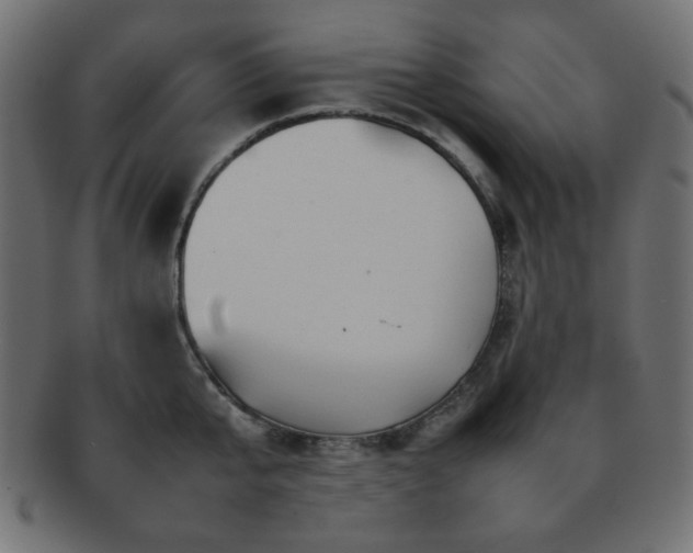 X0000092270807200709141200