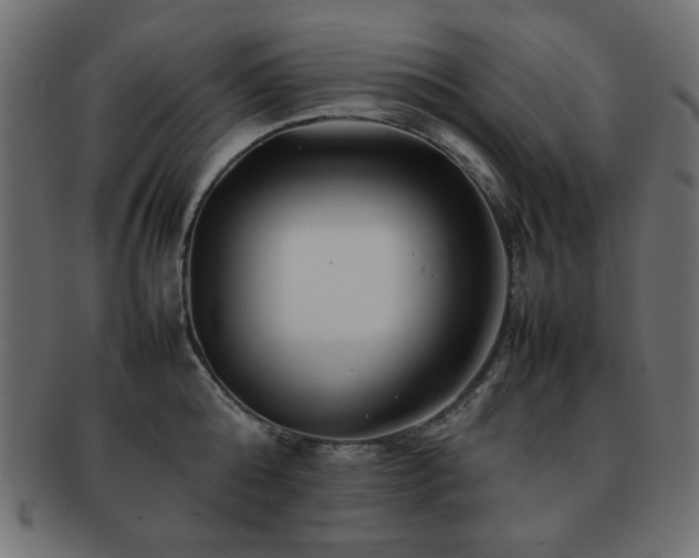 X0000092270808200709141200