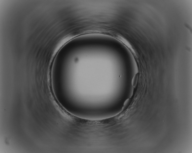X0000092270811200709141200
