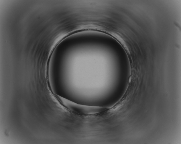 X0000092270815200709141200