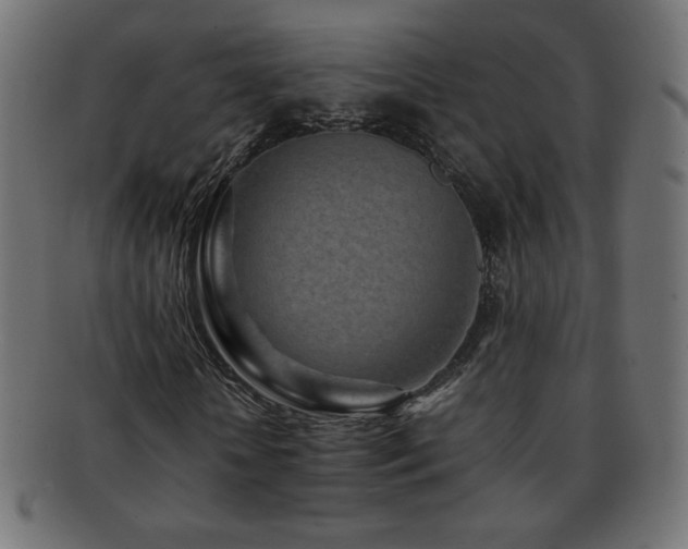 X0000092270818200709141159