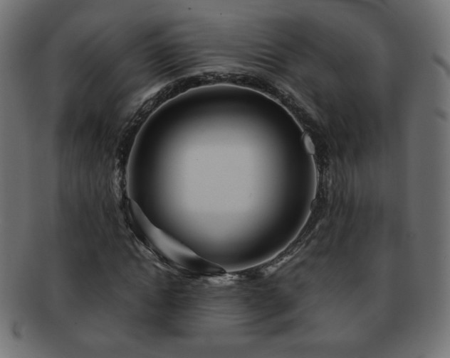 X0000092270822200709141159