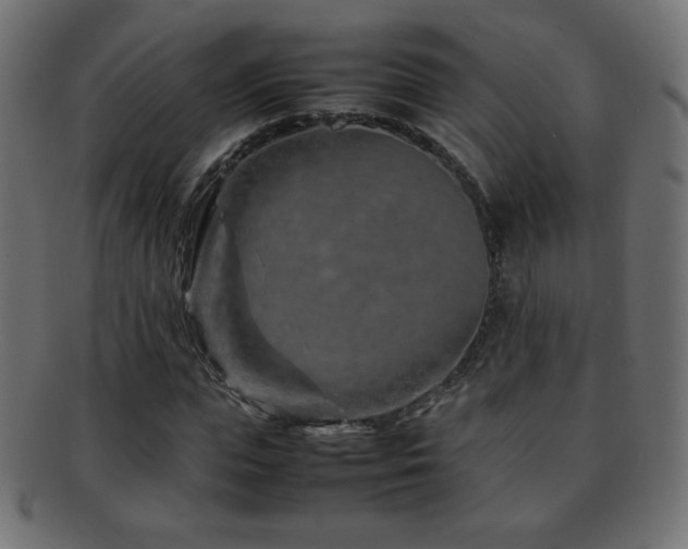 X0000092270823200709141159