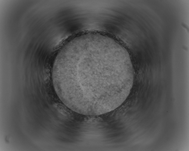 X0000092270824200709141159