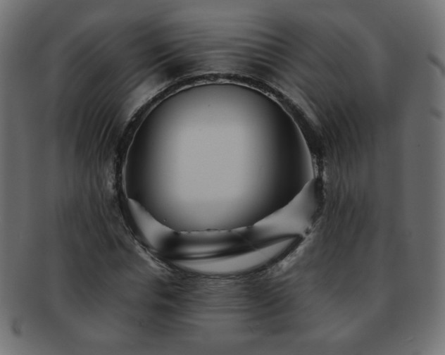 X0000092270826200709141159