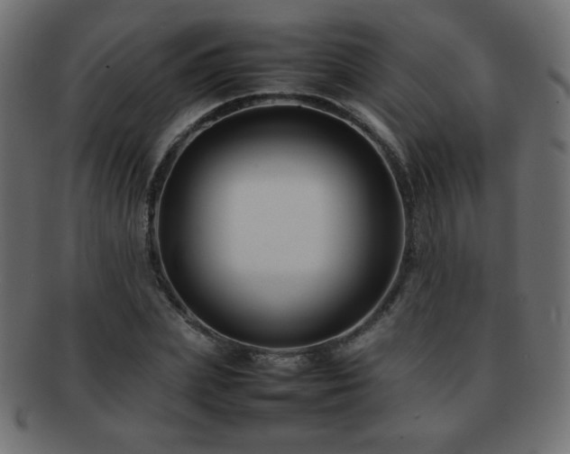 X0000092270831200709141159