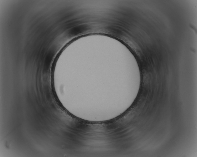 X0000092270836200709141200
