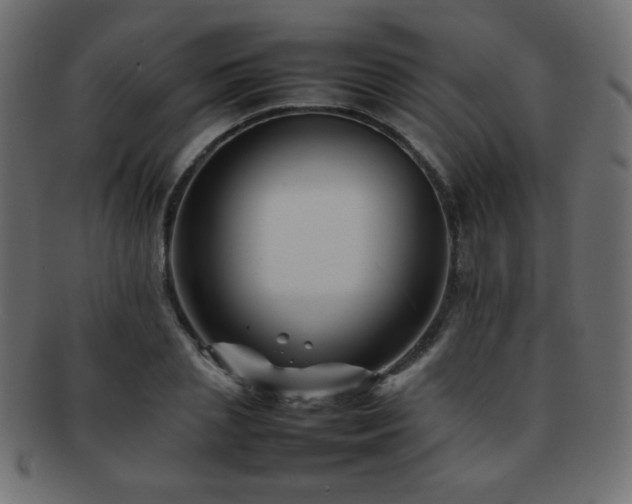 X0000092270837200709141200