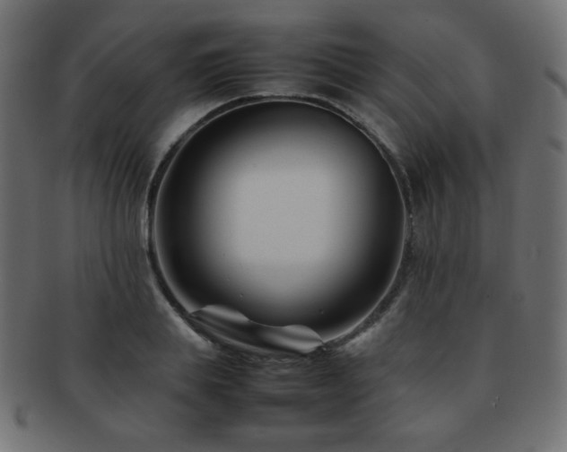 X0000092270839200709141200