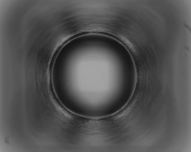 X0000092270840200709141200