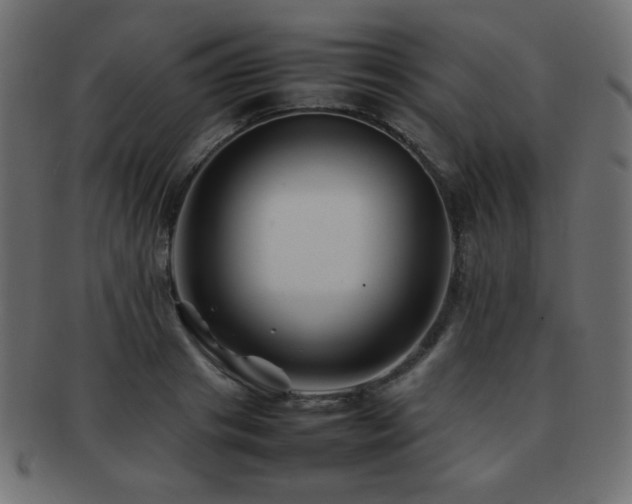 X0000092270841200709141200