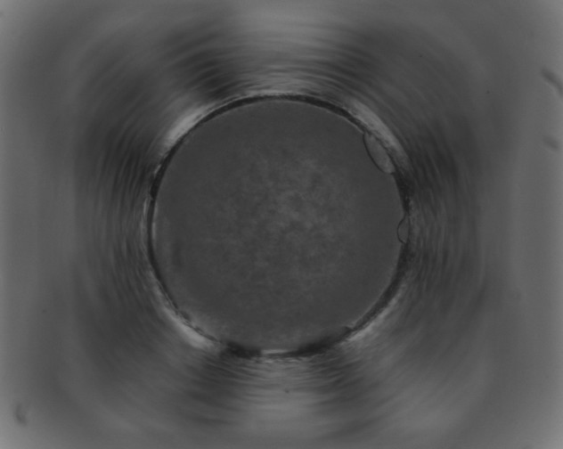 X0000092270842200709141200