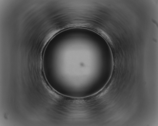 X0000092270844200709141200