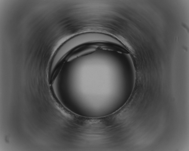 X0000092270846200709141200