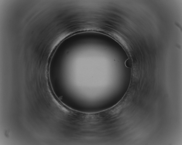 X0000092270847200709141200