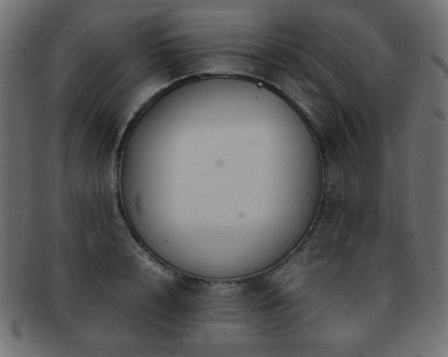 X0000092270848200709141200
