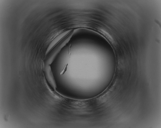 X0000092270849200709141200