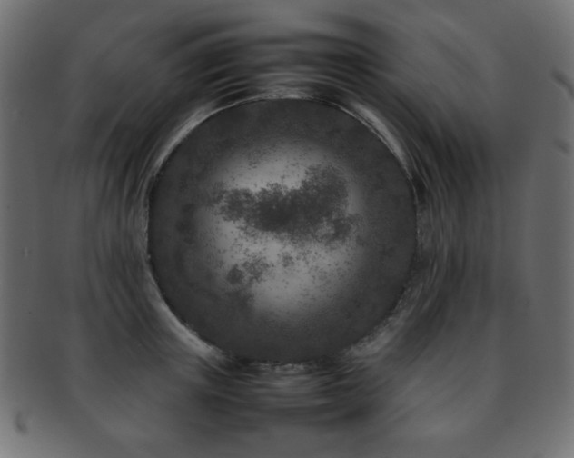 X0000092270851200709141200