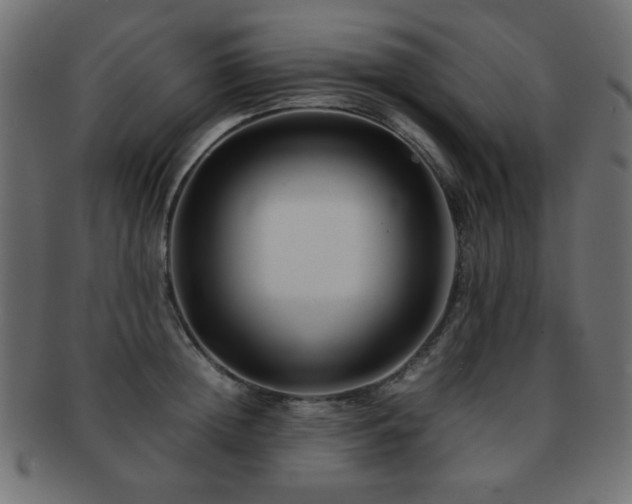 X0000092270852200709141200